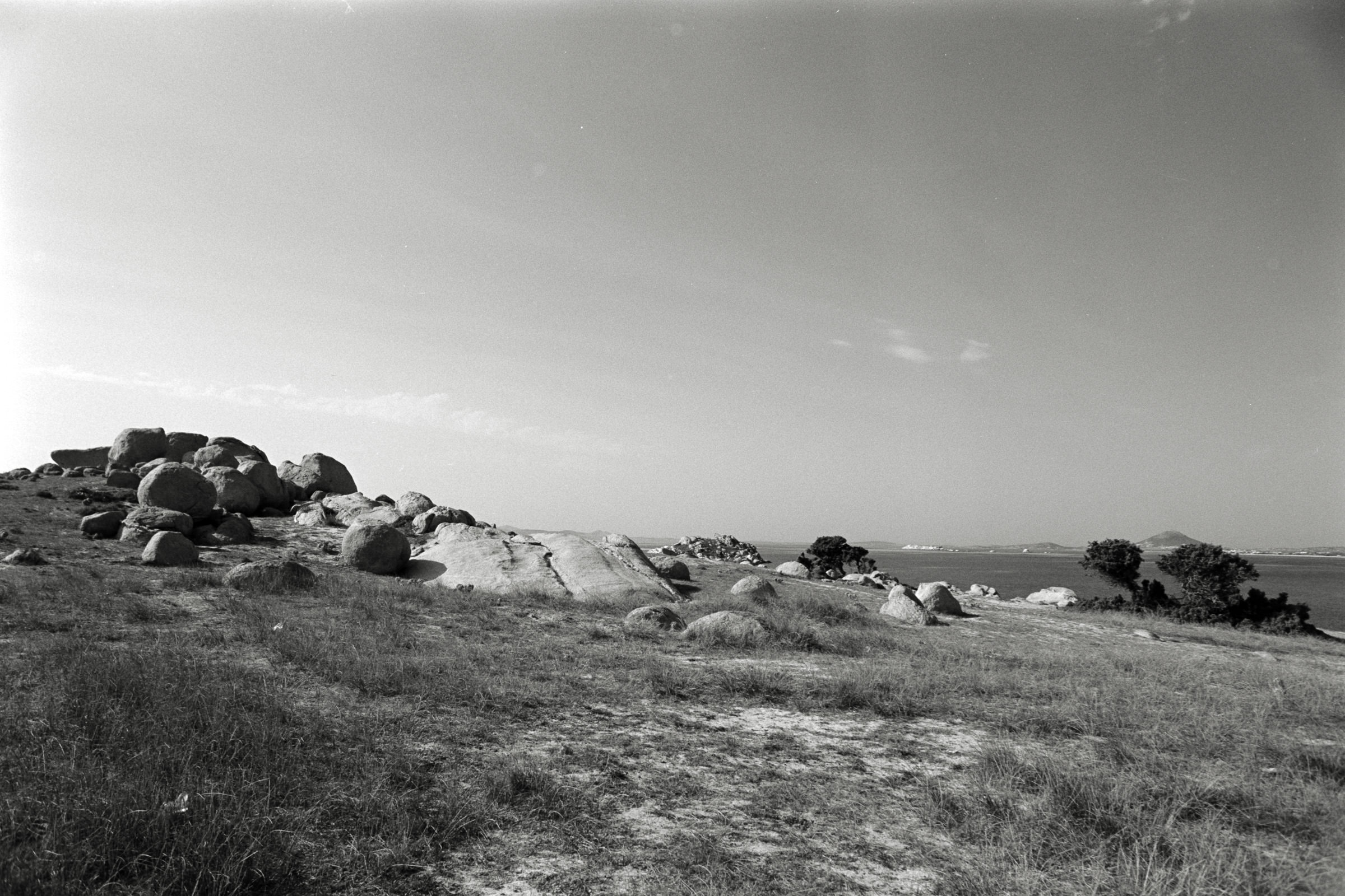 AHP F1991 09 004 sc240914 img28 NLP